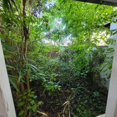 Bali - Live Better With Ah Living Apartment